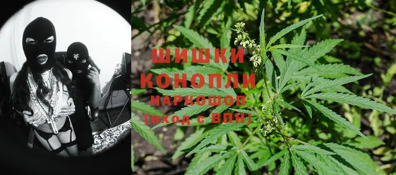 купить   Энем  мега онион  Каннабис OG Kush 